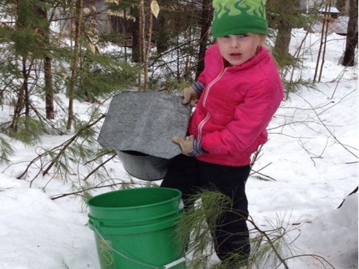 the-sugaring-off-process-Thank-you-Mary-Piper-of-Covered-Bridge-Tree-Farm520x390